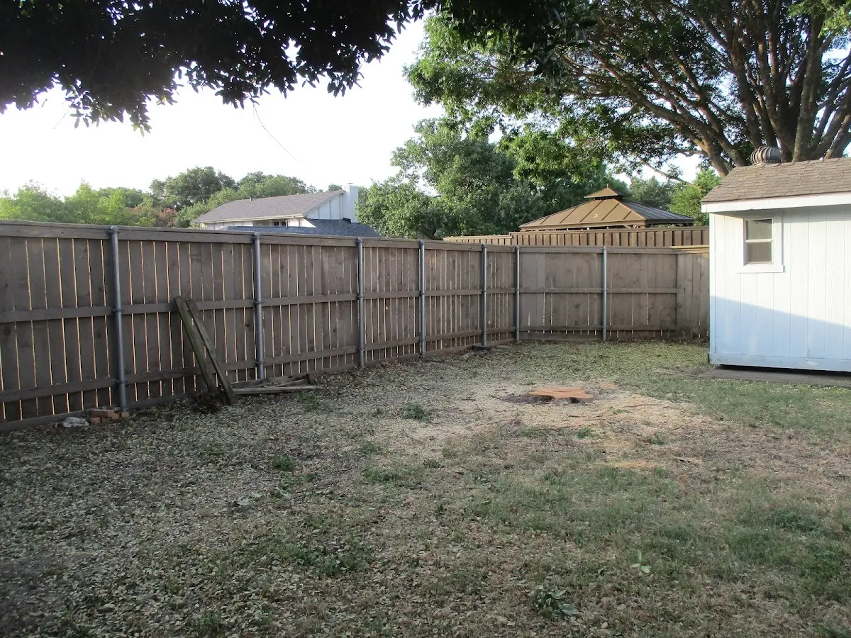 Cleared yard after professional tree removal in Bay City