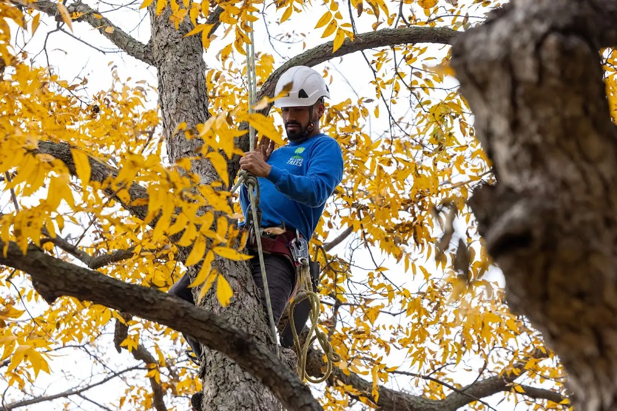 Skilled Storm Damage Cleanup crew working in Bay City