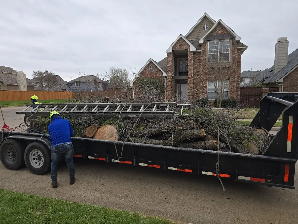 Expert Tree Removal with proper safety equipment in Bay City